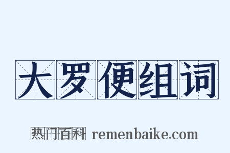 大罗便组词是什么意思的图片